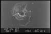 Image 38