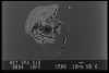 Image 39